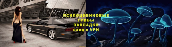 прущие грибы Алзамай