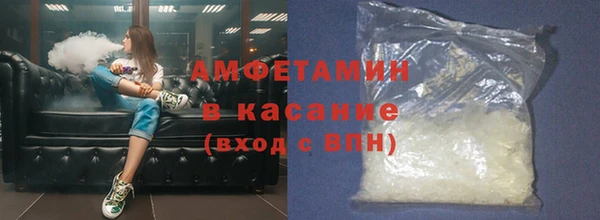 прущие грибы Алзамай