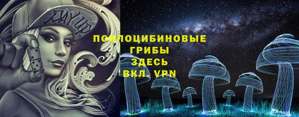 прущие грибы Алзамай