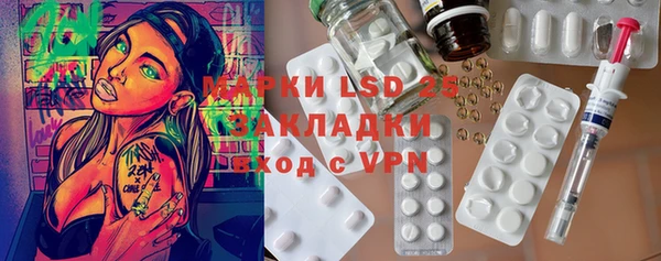 прущие грибы Алзамай