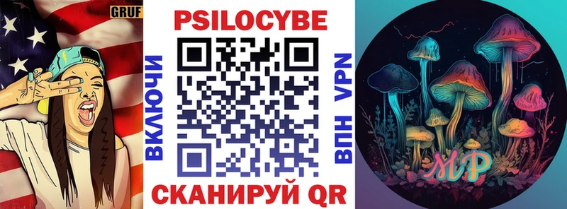 купить наркотик  блэк спрут зеркало  Псилоцибиновые грибы MAGIC MUSHROOMS  Чкаловск 