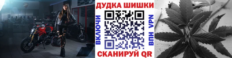 Шишки марихуана индика  это как зайти  Чкаловск  купить  цена 